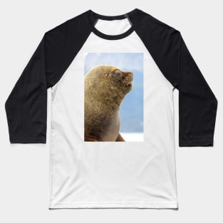 Weddell Seal in Beagle Channel, Ushuaia - Argentina Baseball T-Shirt